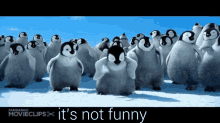 Its Not Funny Penguins GIF - Its Not Funny Penguins Dancing GIFs
