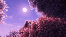 a pixel art of a cherry blossom tree with a full moon in the sky .