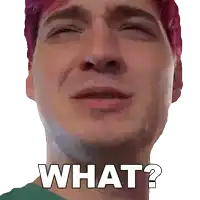 a close up of a man 's face with the words what written below it