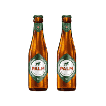 palm bier