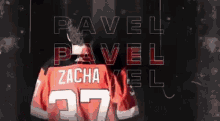 Pavel Zacha GIF - Pavel Zacha GIFs