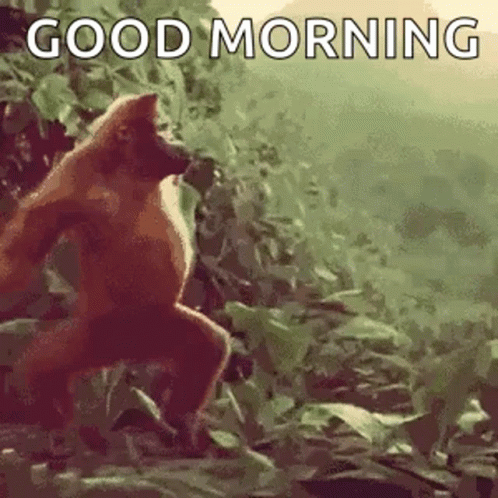 have a good day funny gif