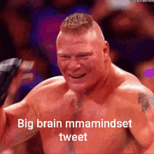 Brock Lesnar Mmamindset GIF - Brock Lesnar Mmamindset GIFs
