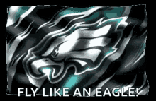 Eagles Fly Like An Eagle GIF