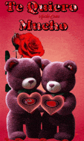 two teddy bears holding hearts with the words te quiero mucho on the top