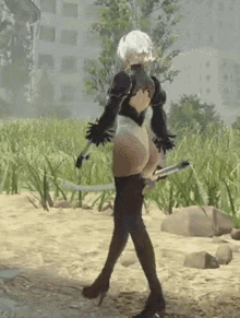 GIF