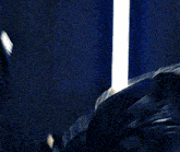 a close up of a person 's pants with a blurred background