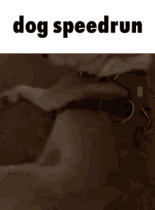 Dog Speedrun Dog GIF - Dog Speedrun Dog GIFs