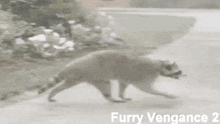 a raccoon is walking down a sidewalk with the words furry vengeance 2 on the bottom