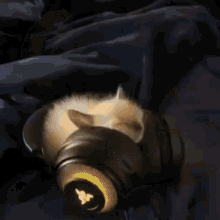 Lipvesnator Cat GIF - Lipvesnator Cat Headphones GIFs