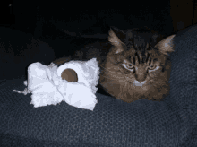 Not Me Caught Red Handed GIF - Not Me Caught Red Handed Cat GIFs