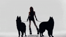 a silhouette of a woman holding two black dogs on leashes with a caption that says aeoisellerigi