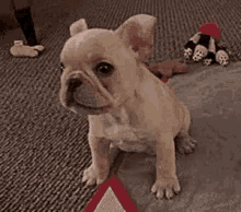 Puppy Dog GIF - Puppy Dog Shakehand GIFs