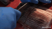 a person wearing blue gloves is cutting a piece of meat .