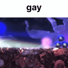 a picture of a fish tank with the word gay on the bottom