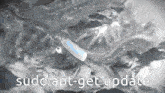 a black and white photo with the words sudo apt-get update on it