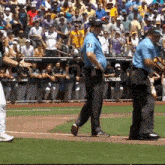 the number 31 is on the back of a baseball umpire