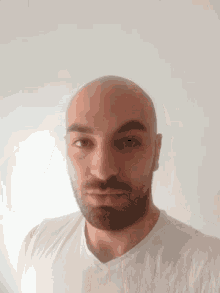 Bald GIF - Bald GIFs