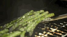 Grilled Parmesan Asparagus GIF - Grilled Asparagus GIFs