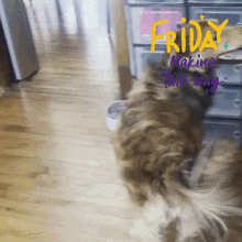 a picture of a cat with the words friday making tails wag written on it