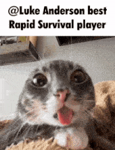 a close up of a cat with its mouth open and the caption luke anderson best rapid survival player