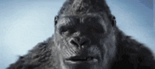 King Kong Smile GIF