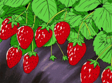 Strawberry Berry Picking GIF