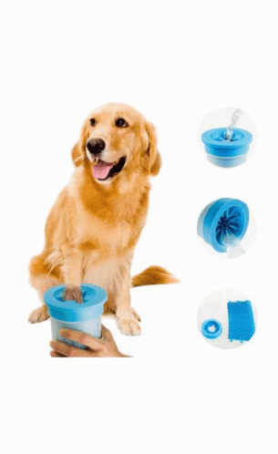 dog paw washer