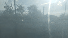 the sun is shining through a window with a few trees in the background