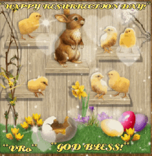 Easter Bunny GIF - Easter Bunny Chicks GIFs
