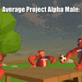 a cartoon monkey holding a soccer ball with the words average project alpha male above it