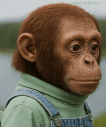a chimpanzee wearing overalls and a green turtleneck looks at the camera