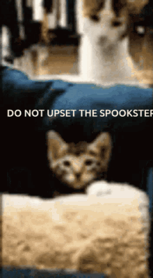 Spookster Spooky GIF - Spookster Spooky GIFs