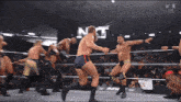 a group of wrestlers are in a ring with the word nt on the bottom