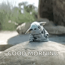 a baby yoda is sitting on top of a rock with the words `` good morning '' .