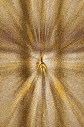 a blurred image of a yellow and brown background
