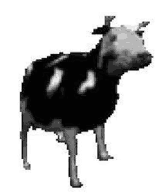 Vaca GIF - Vaca GIFs