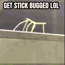 get bugged stick bug lol