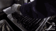 a tray of food with the words made in animotica on the bottom