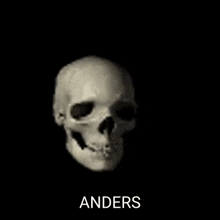 Anders The Skeleton Anders GIF