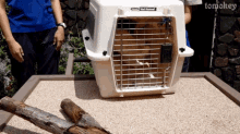 a large white carrier with the word kennel on it