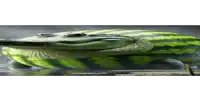 a watermelon that looks like a crocodile is swimming in a body of water