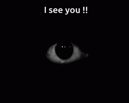 eye see you
