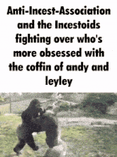 Coffincord Tcalcord GIF - Coffincord Tcalcord The Coffin Of Andy And Leyley GIFs