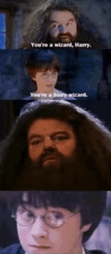 Harry Potter Wizard GIF - Harry Potter Wizard Hairy GIFs