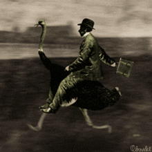 a man is riding an ostrich with a briefcase in his hand
