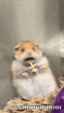 a hamster is holding a cross in its mouth and says aggghhh