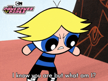 i know you are but what am i boomer rob paulsen the powerpuff girls you are accusing me of something but arent you yourself doing that