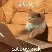 Nick Cat GIF - Nick Cat Catboy GIFs