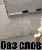 a picture of a cat with the words " без слов " written on it